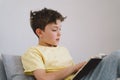 Boy reading an interesting book Royalty Free Stock Photo