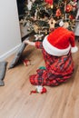 A boy in red pajamas near the Christmas tree is looking for a gift. Christmas at home. Family comfort Royalty Free Stock Photo