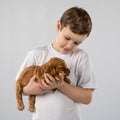 Boy with red puppy isolated on white background. Kid Pet Friendship Royalty Free Stock Photo