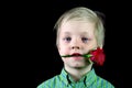 Boy with a red rose. Boy holds a rose in his teeth. Mother`s Day Concept, Valentine`s Day Royalty Free Stock Photo