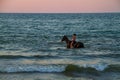 Boy rider on a horse in the sea Royalty Free Stock Photo