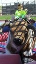 A Boy Rides a Mechanical Bull, Fort Worth Stockyards