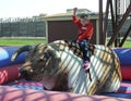 A Boy Rides a Mechanical Bull, Fort Worth Stockyards