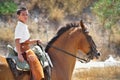 Boy Riding Horse Royalty Free Stock Photo