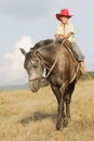 Boy riding a horse on farm outdoors