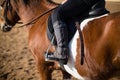 Boy riding a horse in the ranch Royalty Free Stock Photo