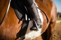 Boy riding a horse in the ranch Royalty Free Stock Photo