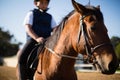 Boy riding a horse in the ranch Royalty Free Stock Photo