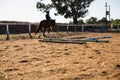 Boy riding a horse in the ranch Royalty Free Stock Photo