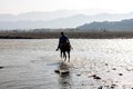 Boy riding horse to cross the river going for work early in the morning Royalty Free Stock Photo