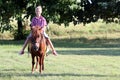 Boy riding pony horse Royalty Free Stock Photo