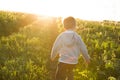 A boy runs across the field on a hot summer day against the sunset Royalty Free Stock Photo