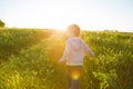 A boy runs across the field on a hot summer day against the sunset Royalty Free Stock Photo