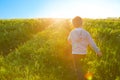 A boy runs across the field on a hot summer day against the sunset Royalty Free Stock Photo