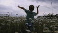 The boy runs through the meadow with flowers. CREATIVE. Rear view of a child running through a field of daisies. A child Royalty Free Stock Photo