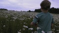 The boy runs through the meadow with flowers. CREATIVE. Rear view of a child running through a field of daisies. A child Royalty Free Stock Photo