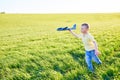 Boy runs with toy airplane in summer through field. Happy child running and playing with toy airplane outdoors. Boy dreams of Royalty Free Stock Photo