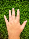 Boy`s backhand on Desmodium triflorum Royalty Free Stock Photo