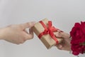 Boy`s hand gives wrapped gift box to girl, red roses near, white backgroud, Royalty Free Stock Photo