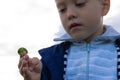 The boy`s hands hold a beautiful green swallowtail caterpillar on a bright summer day in nature Royalty Free Stock Photo
