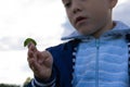 The boy`s hands hold a beautiful green swallowtail caterpillar on a bright summer day in nature. Selective focus Royalty Free Stock Photo