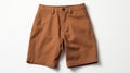 Brown Leather Shorts With Precisionist Lines - Ryan Mcginley Style