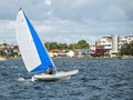 Boy sailing small catamaran at speed with vivid blue and white s