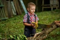 Boy sawing fallen tree in garden Royalty Free Stock Photo