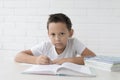 Boy schoolboy teaches lessons writing in notebook and reading books