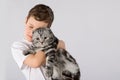 Boy with Scottish Fold cat isolated on white background. Kid Pet Friendship