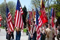 Boy scouts with flags