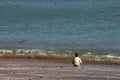 The boy and the sea.