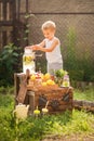 Boy sells homemade lemonade close-up and copy space. The boy in the summer makes homemade lemonade. Children`s games with lemonade