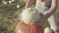 Project end. Boy sets the top of the pumpkin pyramid. Final stage in creation.