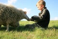 Boy and sheeps Royalty Free Stock Photo