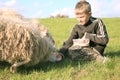 Boy and sheeps Royalty Free Stock Photo