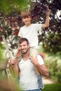 A boy on the shoulders of his father posing in the garden