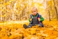 The boy sits in the autumn leaves in the park. Little boy. Very in the park. Golden autumn. Sunny day Royalty Free Stock Photo