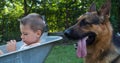 A boy sits and and big dog Royalty Free Stock Photo