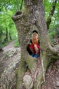 The boy sits in the hollow of a large old tree Royalty Free Stock Photo