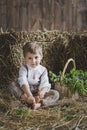 The boy is sitting among the hay in the Studio 6126. Royalty Free Stock Photo