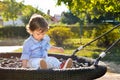 Boy sitting on a swing in the park Royalty Free Stock Photo