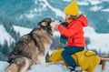 Boy sledding, enjoying sleigh ride. Child sitting on the sleigh with siberian husky dog. Children play with snow. Winter Royalty Free Stock Photo