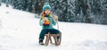 Boy sledding, enjoying sleigh ride. Winter vacation. Child sledding in winter snowy forest. Kids with sled, sleigh in Royalty Free Stock Photo