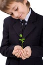 Boy with a small green plant Royalty Free Stock Photo