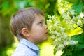 Boy smelling flower Royalty Free Stock Photo