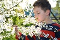 Boy smelling a spring cherry flowers. Royalty Free Stock Photo