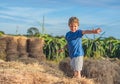 Boy smile play dance grimace show off blue t-shirt stand on haystack bales of dry grass, clear sky sunny day. Balance Royalty Free Stock Photo