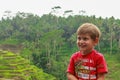 A boy smiles against the background of rice fields in Bali Royalty Free Stock Photo