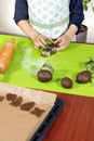 Boy squeezes the shapes from the molds on the rolled brown dough. Pressed shapes are next to prepared for baking.